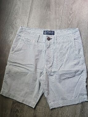American Eagle Outfitters Light Blue and White Striped Men’s Flat Front Shorts